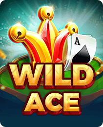 Wild Ace slot on x666 game download